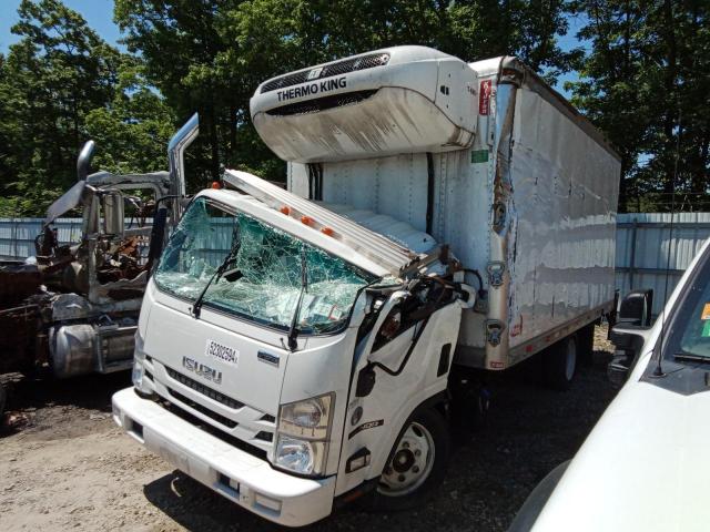  Salvage Isuzu Nqr