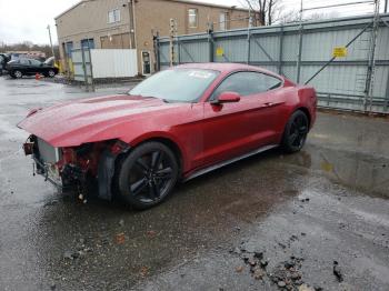  Salvage Ford Mustang