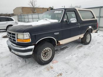  Salvage Ford Bronco