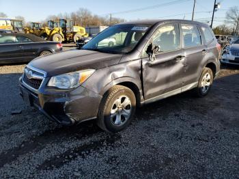  Salvage Subaru Forester