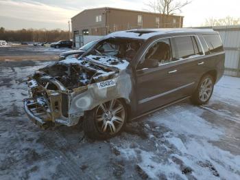  Salvage Cadillac Escalade
