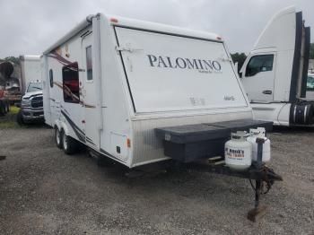  Salvage Palomino Stampede