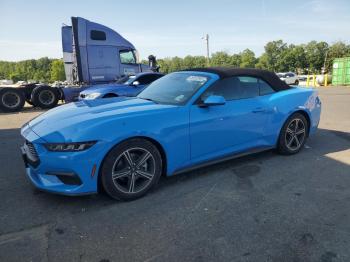  Salvage Ford Mustang