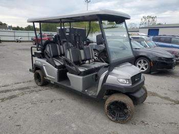  Salvage Other Golf Cart