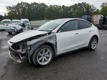  Salvage Tesla Model Y