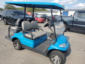  Salvage Other Golf Cart