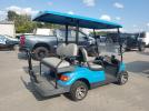 Other Golf Cart Image 5