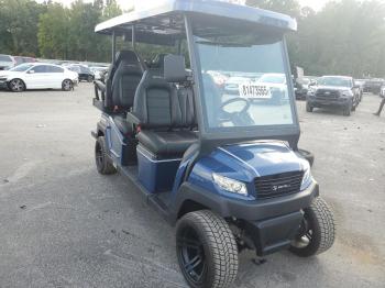  Salvage Other Golf Cart