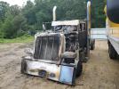 Peterbilt 389 Image 2