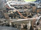 Peterbilt 389 Image 10