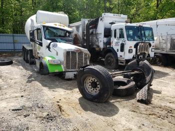  Salvage Peterbilt 567