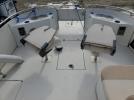 Carolina Sea Chaser Image 9