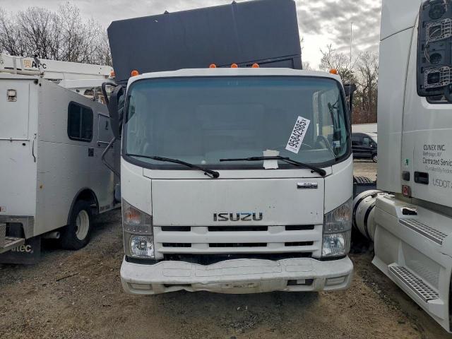 Isuzu Nqr Image 3