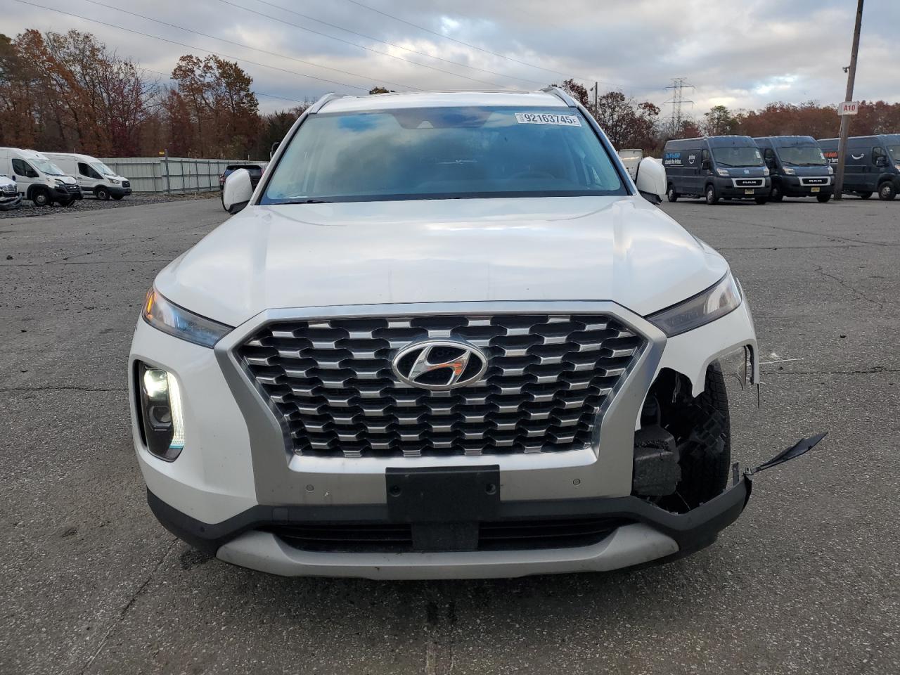 Hyundai PALISADE Sel Image 13