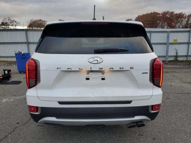 Hyundai PALISADE Sel Image 6