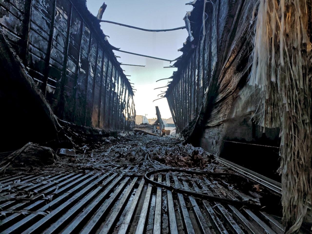 Great Dane Trailer Image 8